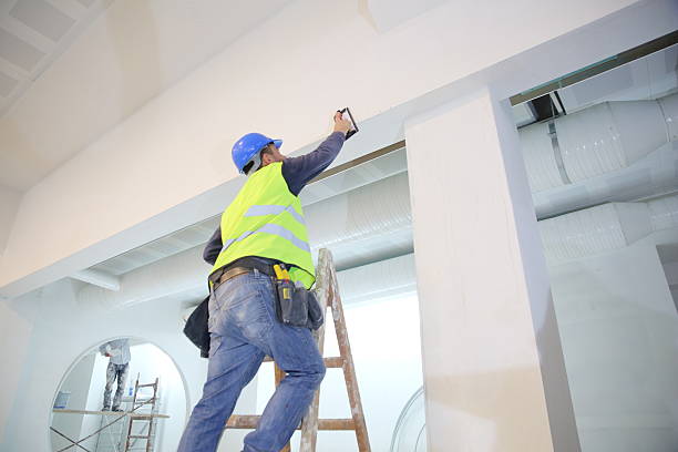Environmental Consulting for Mold Prevention in Rio Linda, CA